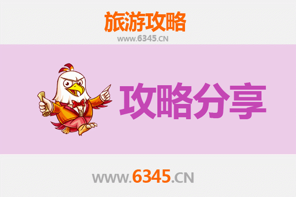 甘南迭部至湄洲岛旅游攻略：跟团还是自由行选择指南